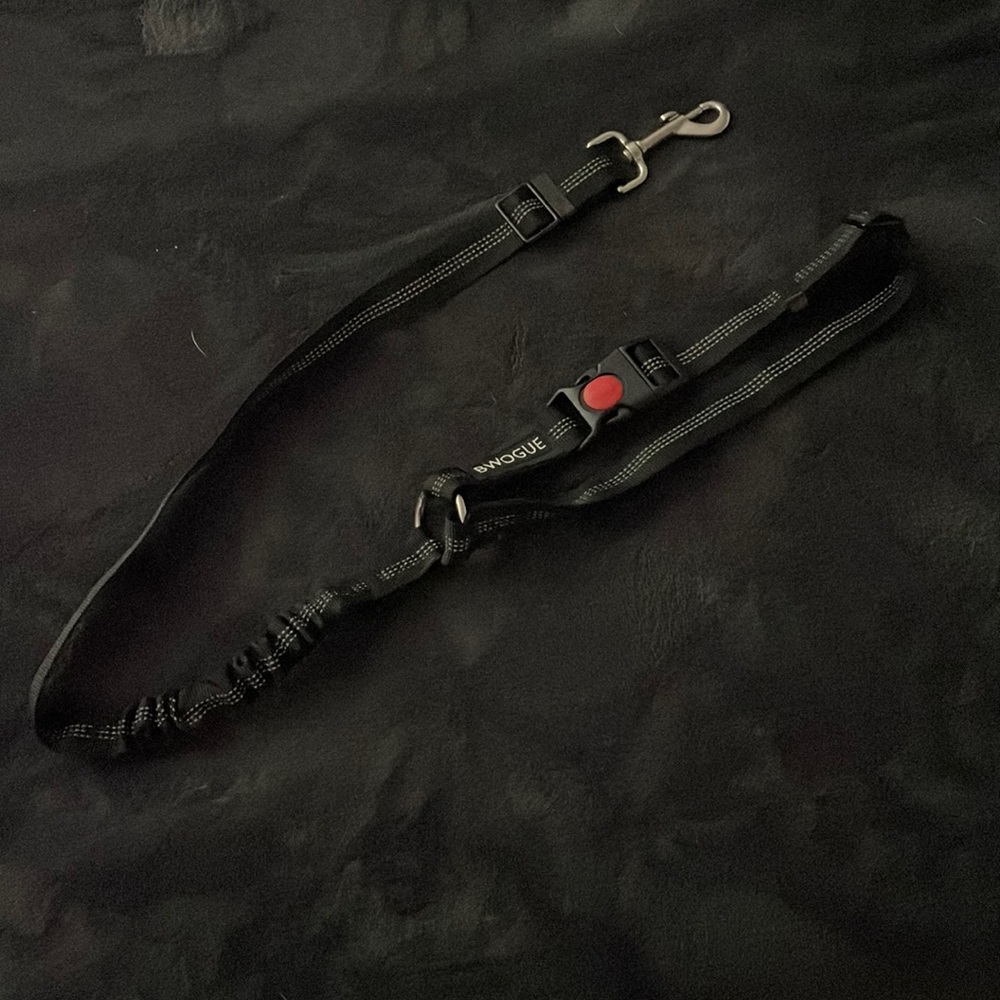 Harness for car so your dog stays on seat and is safe